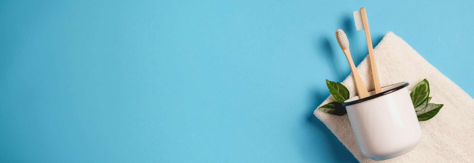 close up of cup with toothbrushes | marysville dentist