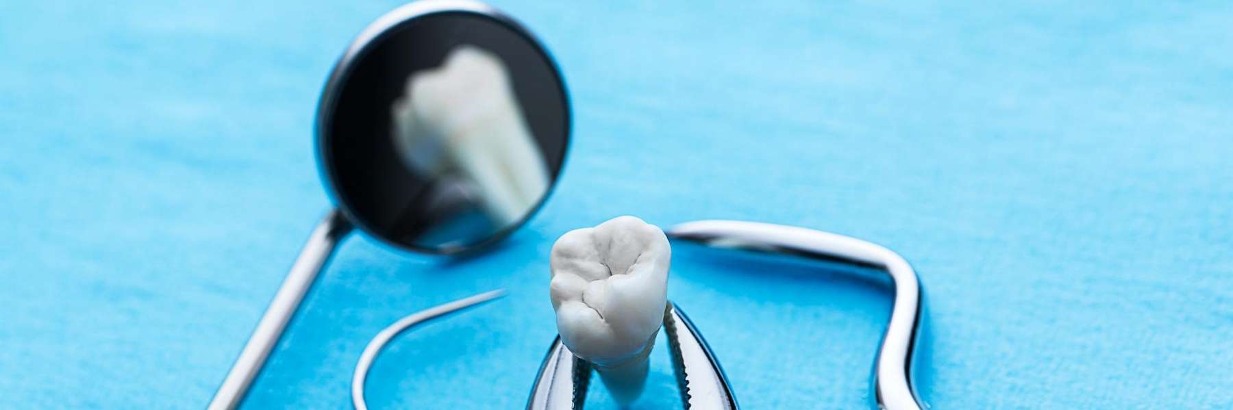 tooth being held by dental tool | cosmetic dentist marysville wa